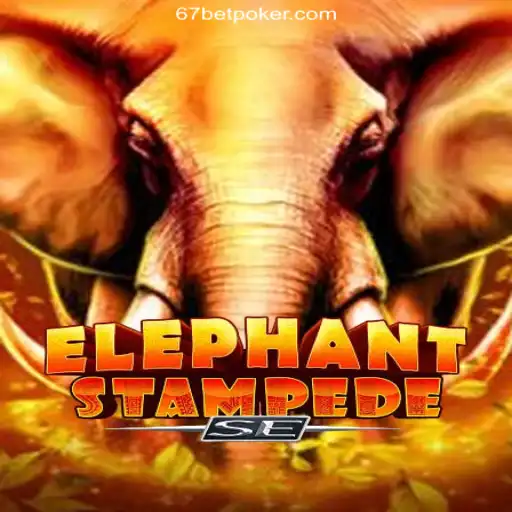 67bet.com A Plataforma de Apostas #1 do Brasil Casino App
